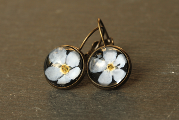 Ohrringe Vergissmeinnicht Antik Bronze im Vintage Style Gepresste Blüte hinter Glas als romantisches Geschenk für sie und für Verliebte